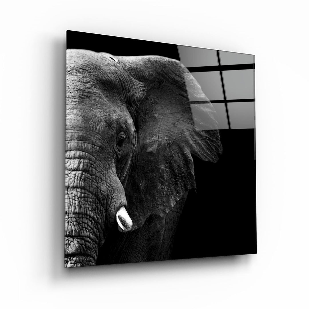 ・"Elephant"・Glass Wall Art | Artdesigna Glass Printing Wall Arts.