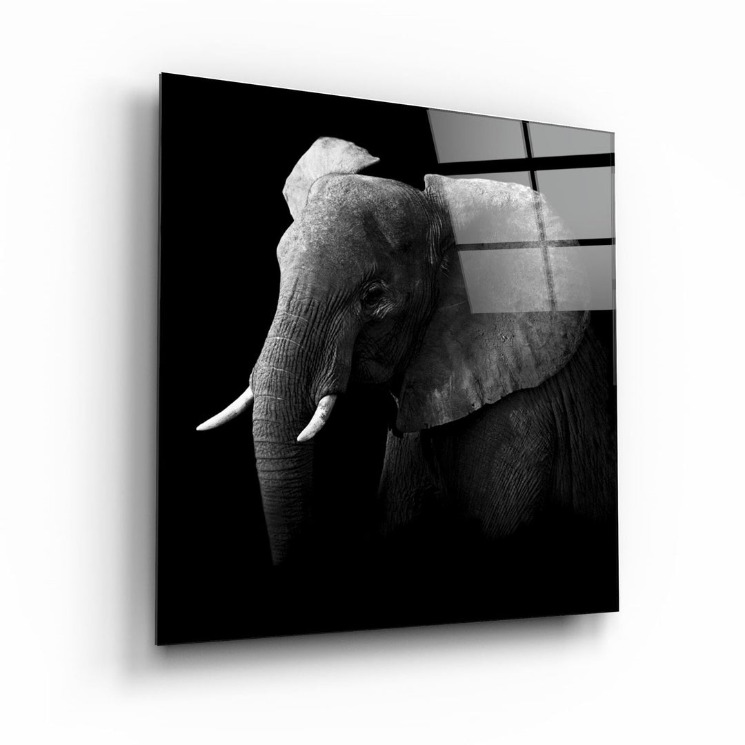 ・"Elephant"・Glass Wall Art | Artdesigna Glass Printing Wall Arts.