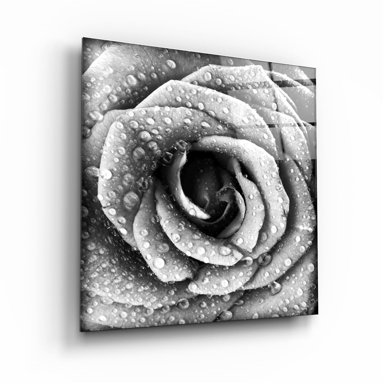 ・"Rose"・Glass Wall Art | Artdesigna Glass Printing Wall Arts.