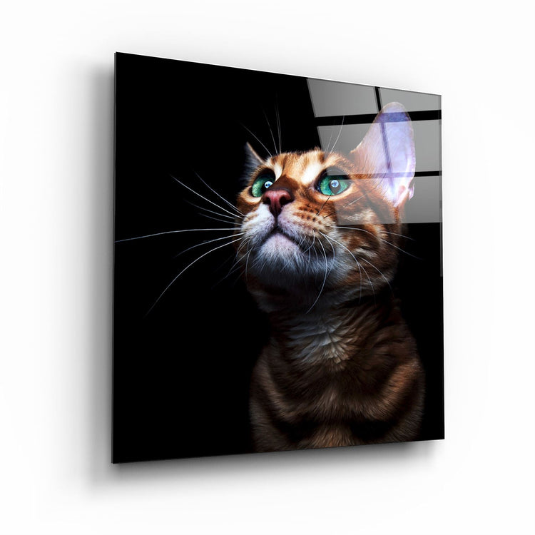 ・"Kitten"・Glass Wall Art | Artdesigna Glass Printing Wall Arts.