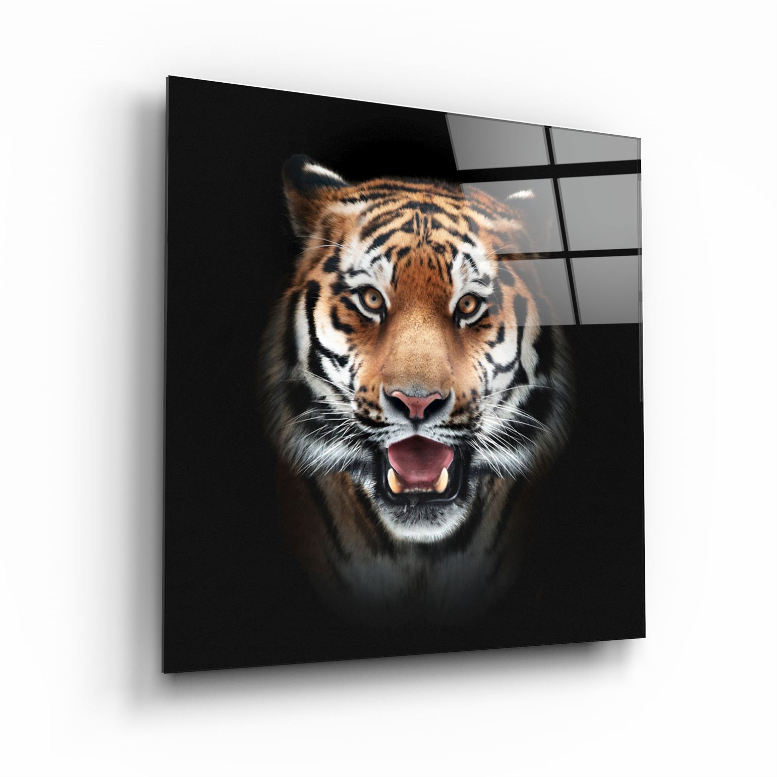 ・"Tiger"・Glass Wall Art | Artdesigna Glass Printing Wall Arts.