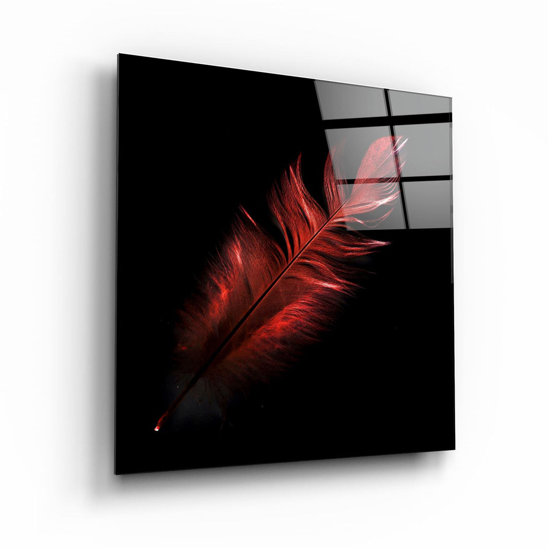 ・"Colorful Feather"・Glass Wall Art | Artdesigna Glass Printing Wall Arts.