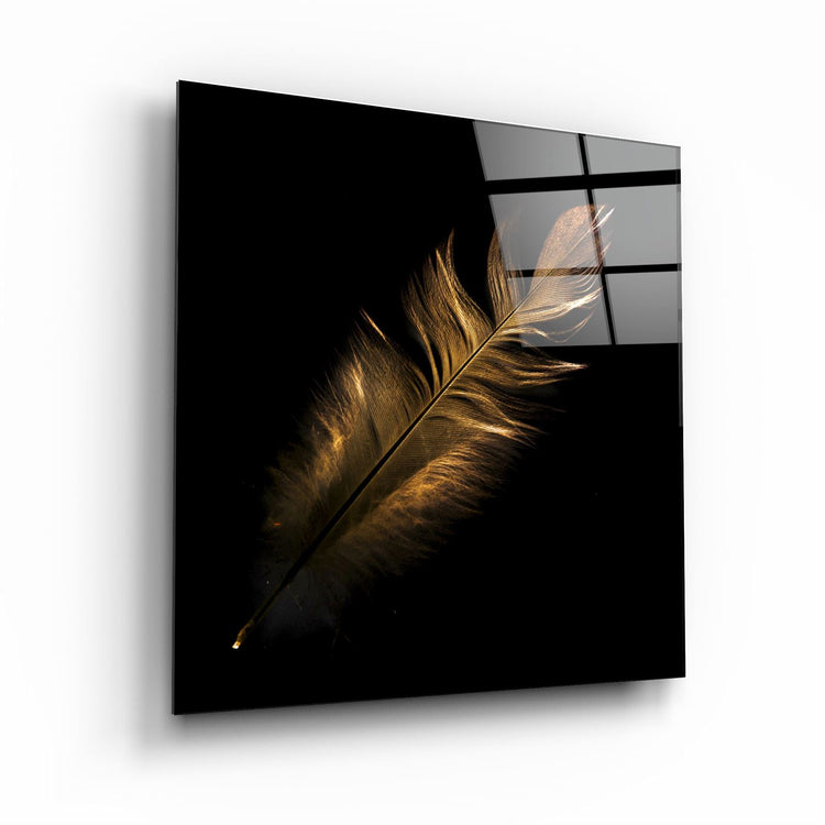 ・"Colorful Feather"・Glass Wall Art | Artdesigna Glass Printing Wall Arts.