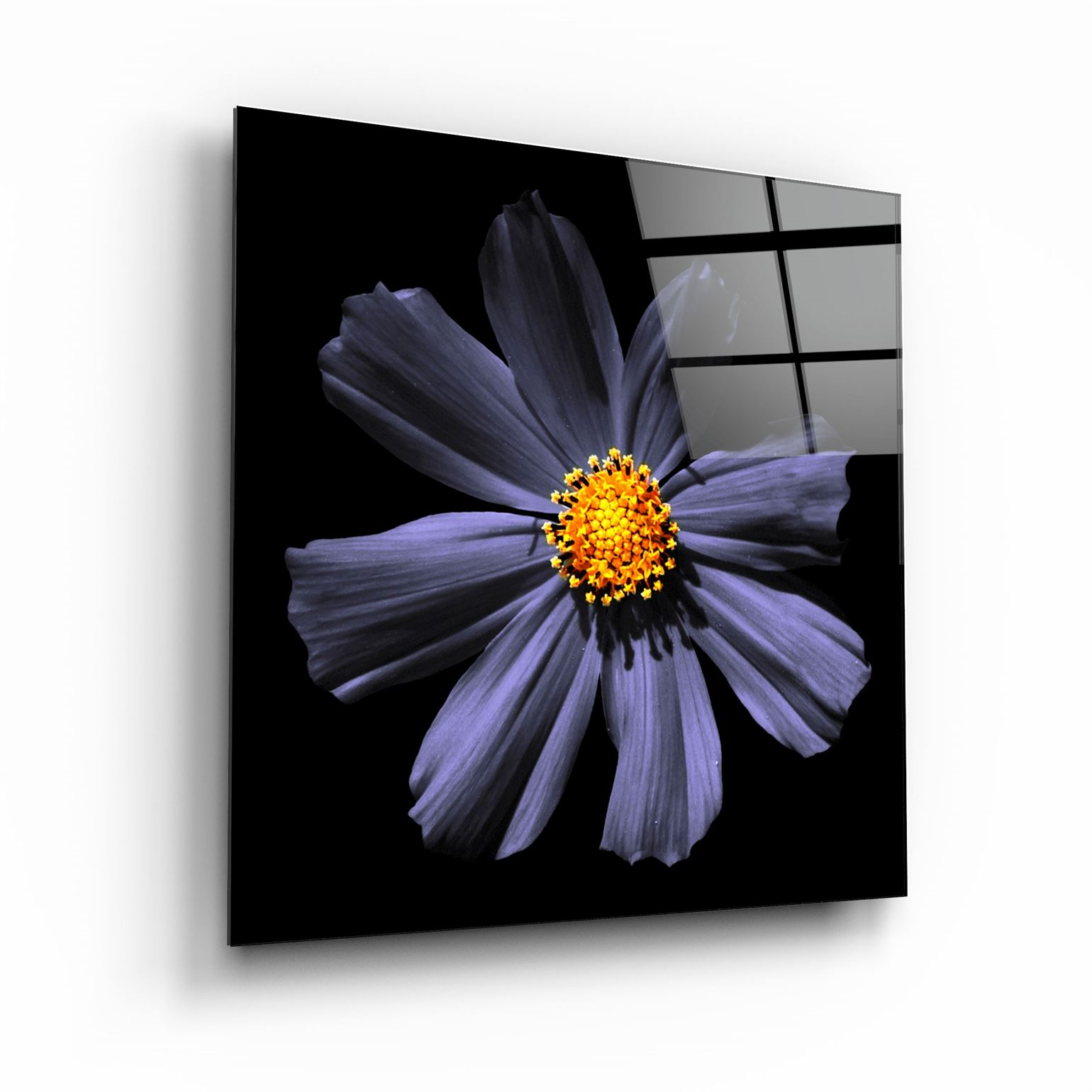 ・"Purple Flower"・Glass Wall Art | Artdesigna Glass Printing Wall Arts.