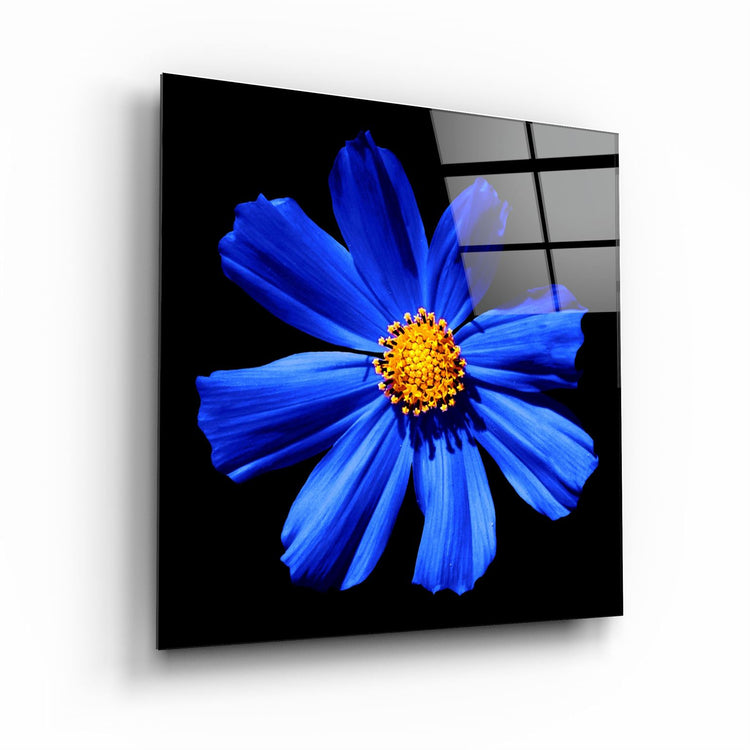 ・"Blue Flower"・Glass Wall Art | Artdesigna Glass Printing Wall Arts.