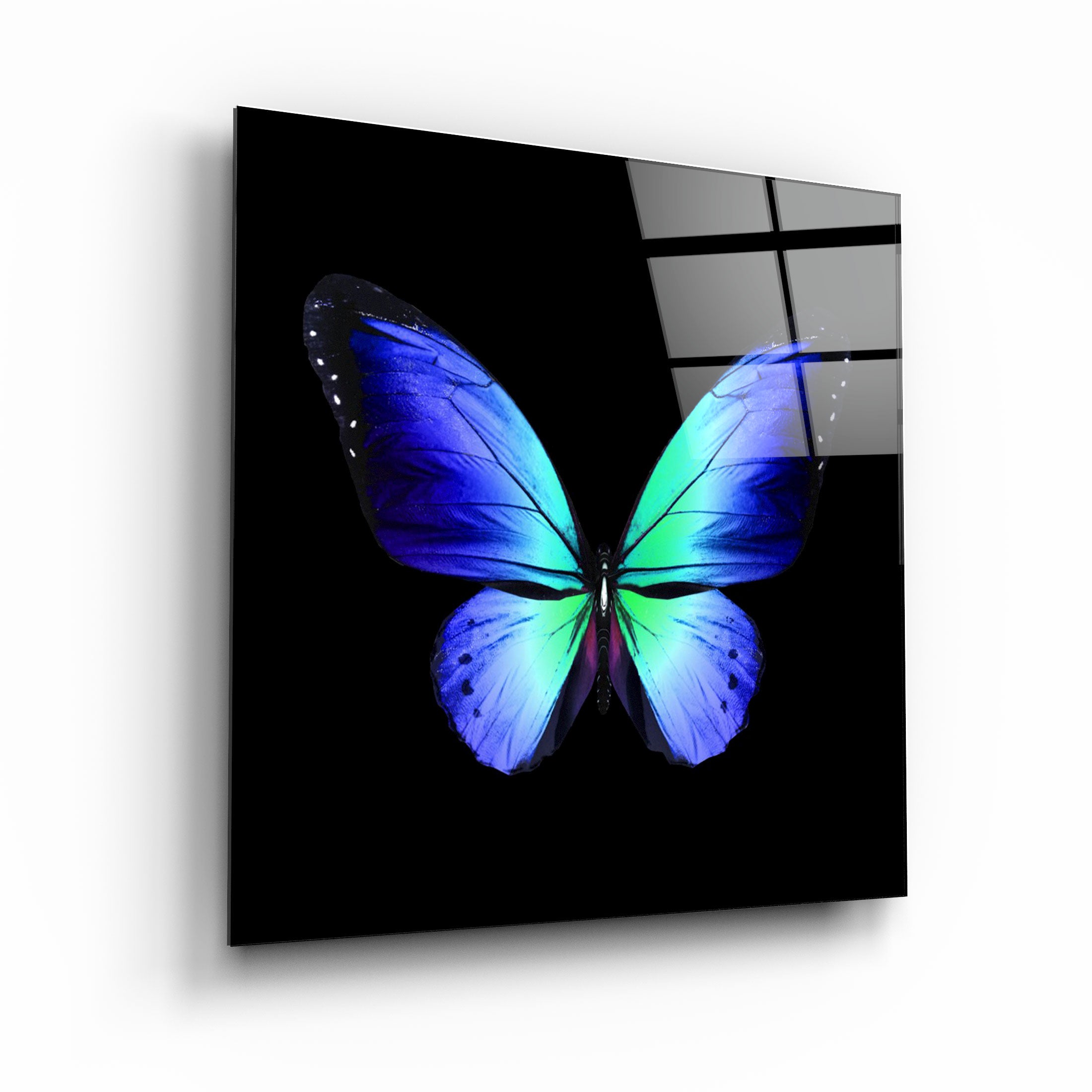 ・"Butterfly"・Glass Wall Art | Artdesigna Glass Printing Wall Arts.