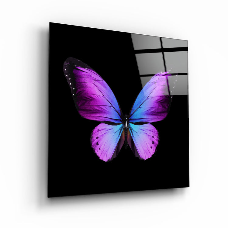 ・"Butterfly"・Glass Wall Art | Artdesigna Glass Printing Wall Arts.