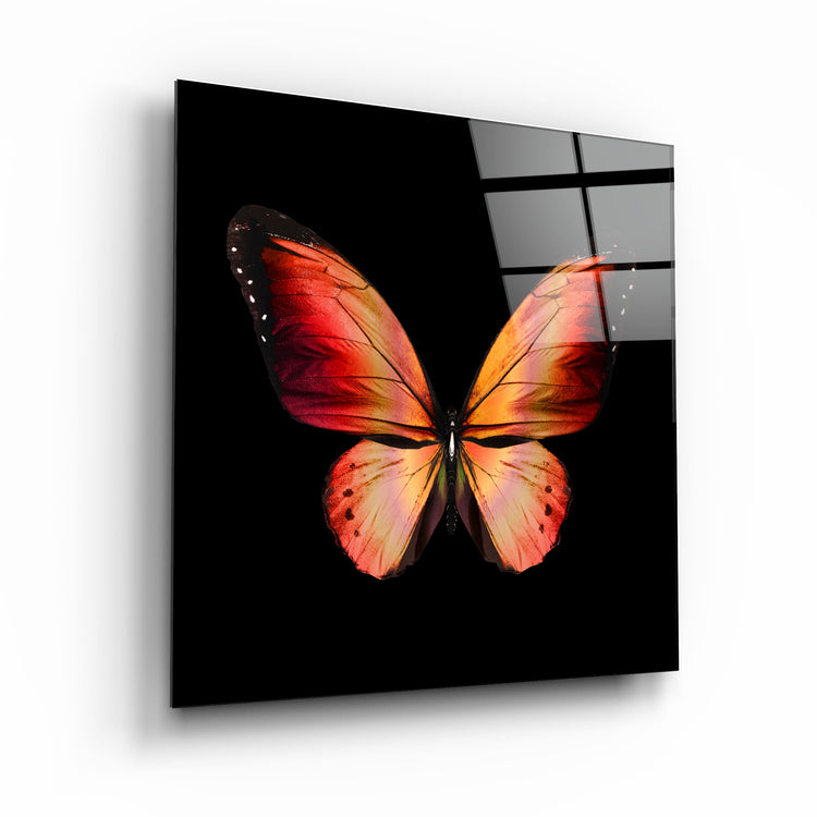 ・"Butterfly"・Glass Wall Art | Artdesigna Glass Printing Wall Arts.