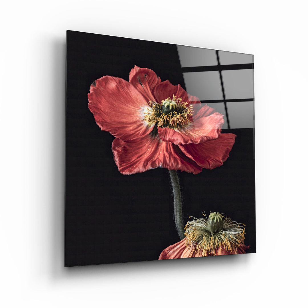 ・"Red Flowers"・Glass Wall Art | Artdesigna Glass Printing Wall Arts.