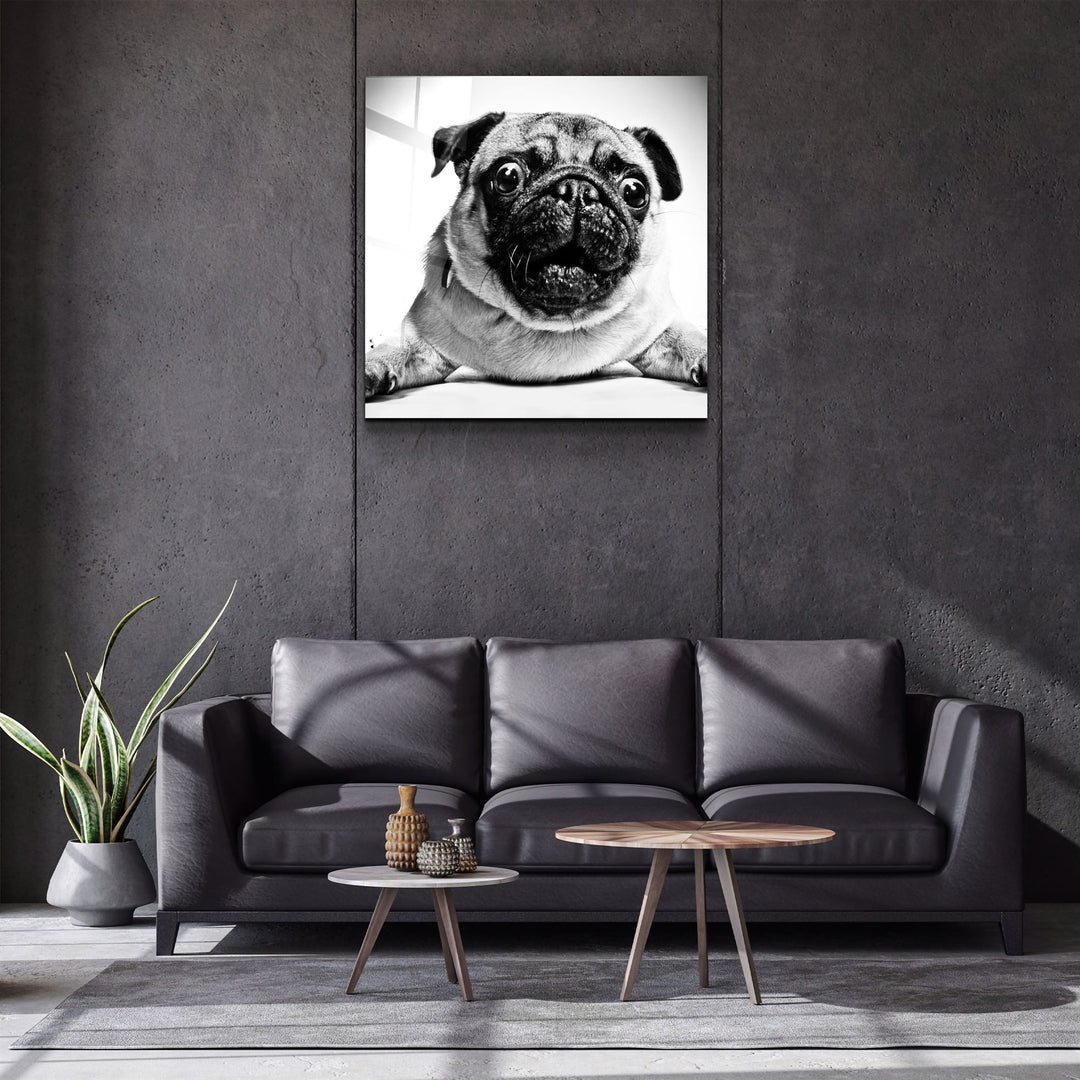 ・"Pug"・Glass Wall Art | Artdesigna Glass Printing Wall Arts.