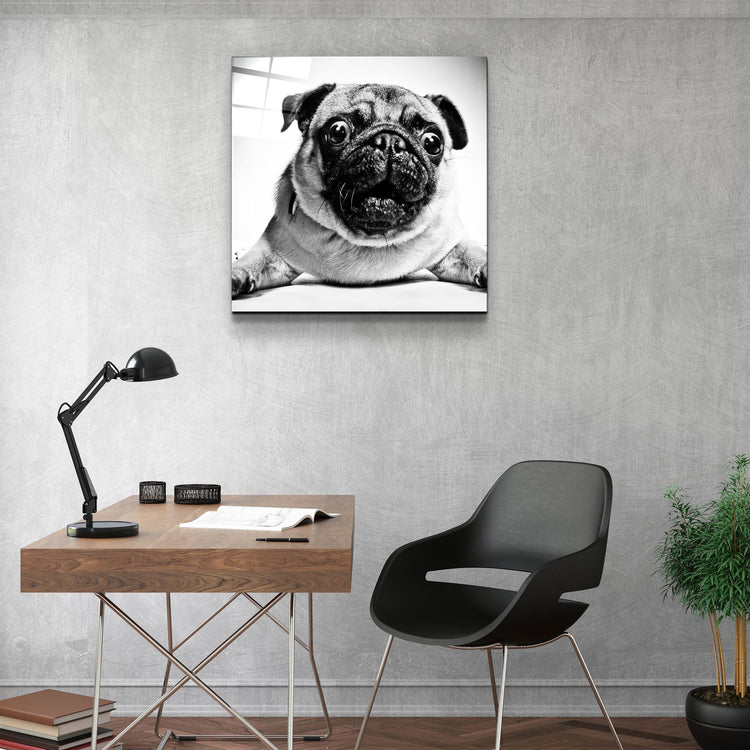 ・"Pug"・Glass Wall Art | Artdesigna Glass Printing Wall Arts.