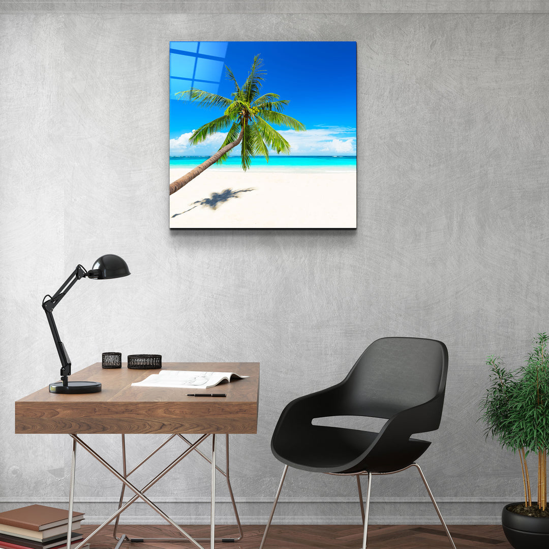 ・"Palm Tree"・Glass Wall Art | Artdesigna Glass Printing Wall Arts.