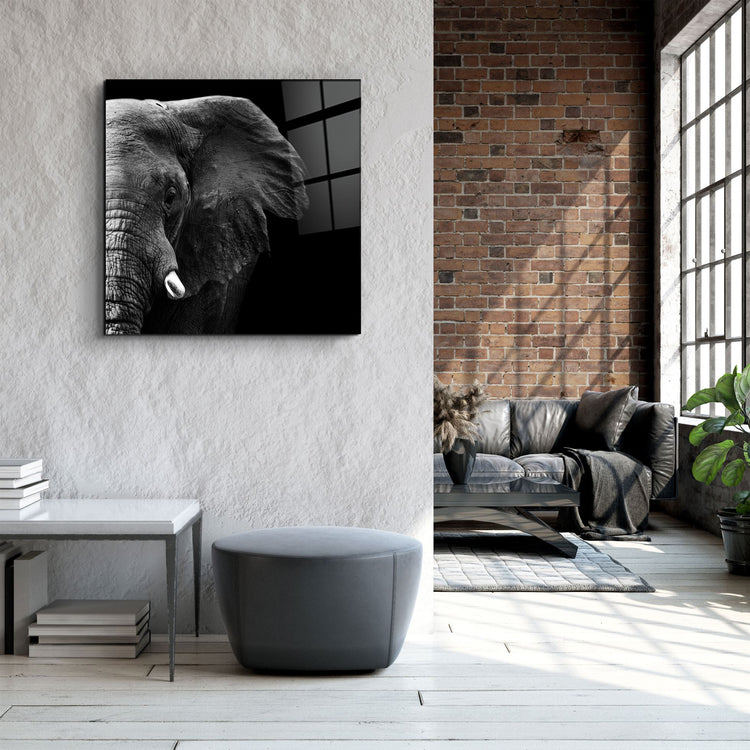 ・"Elephant"・Glass Wall Art | Artdesigna Glass Printing Wall Arts.