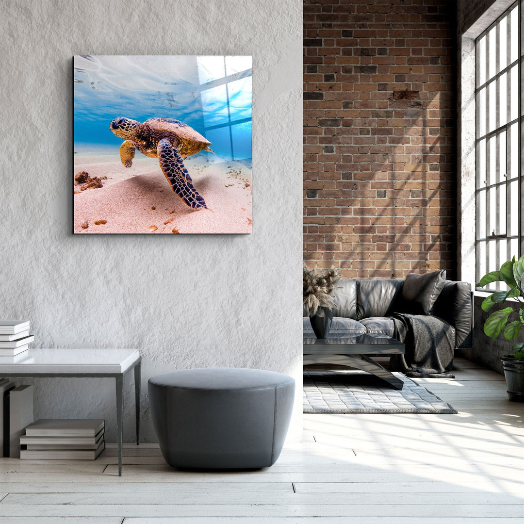 ・"Sea Turtle"・Glass Wall Art | Artdesigna Glass Printing Wall Arts.