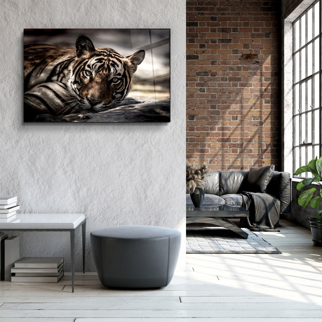 ・"Tired Tiger"・Glass Wall Art | Artdesigna Glass Printing Wall Arts.