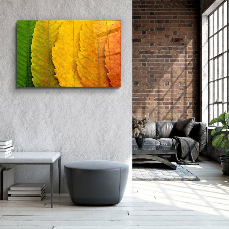 ・"Depth Of Focus"・Glass Wall Art | Artdesigna Glass Printing Wall Arts.