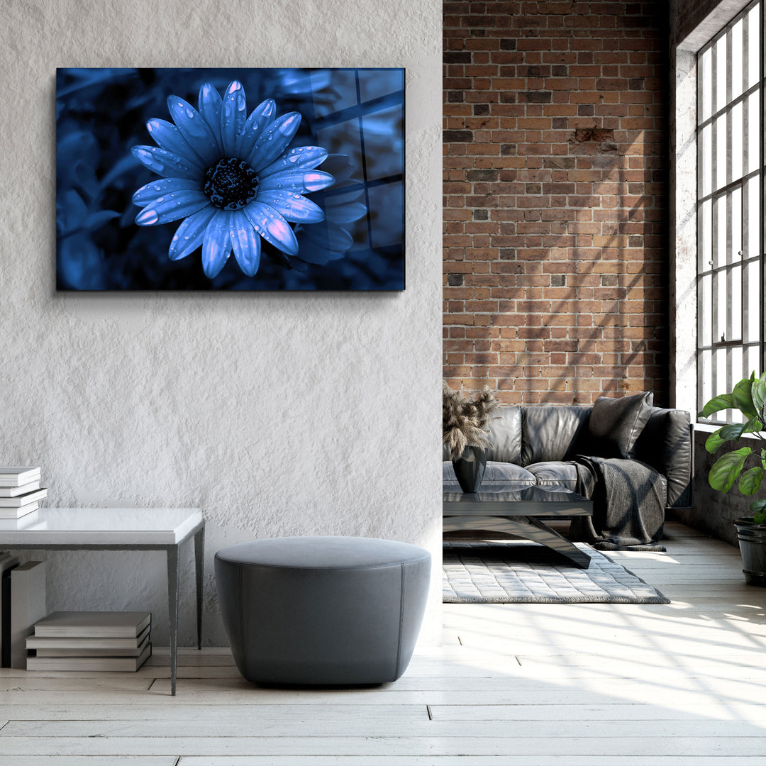 ・"Blue Daisy"・Glass Wall Art | Artdesigna Glass Printing Wall Arts.