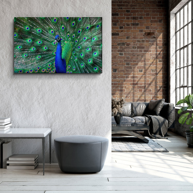 ・"The Peacock"・Glass Wall Art | Artdesigna Glass Printing Wall Arts.