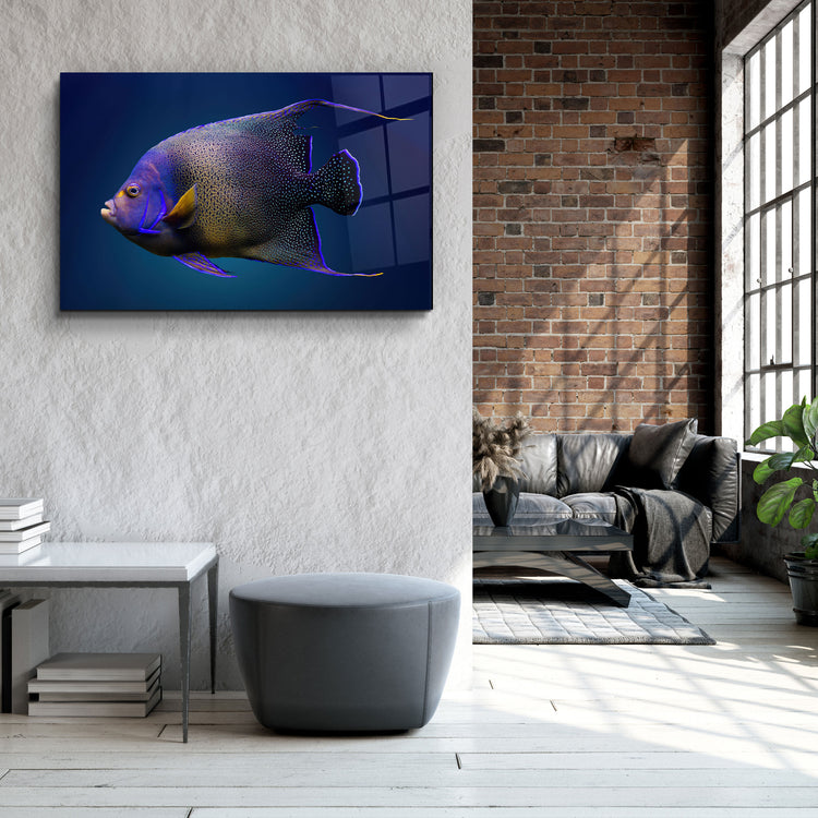 ・"Exotic Fish"・GLASS WALL ART | Artdesigna Glass Printing Wall Arts.