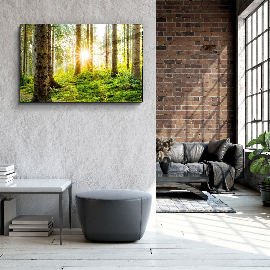 ・"The Forest"・Glass Wall Art | Artdesigna Glass Printing Wall Arts.