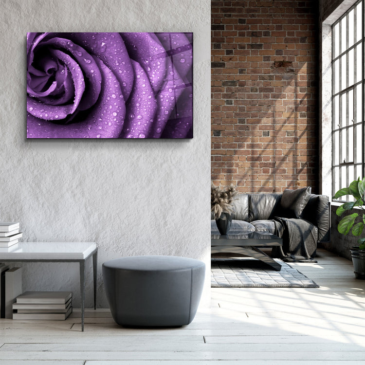 ・"Purple Rose"・Glass Wall Art | Artdesigna Glass Printing Wall Arts.