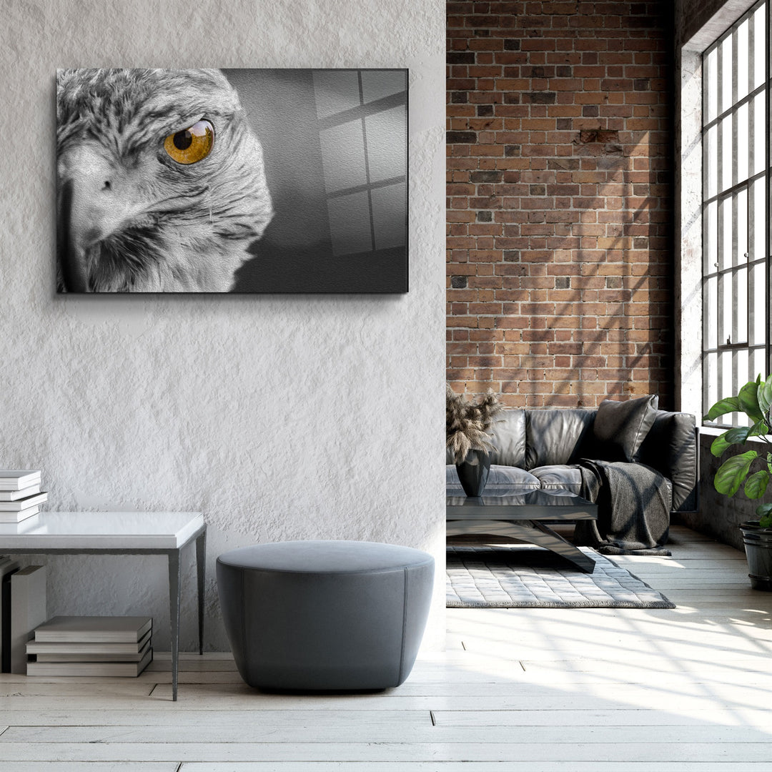 ・"Hawk"・Glass Wall Art | Artdesigna Glass Printing Wall Arts.