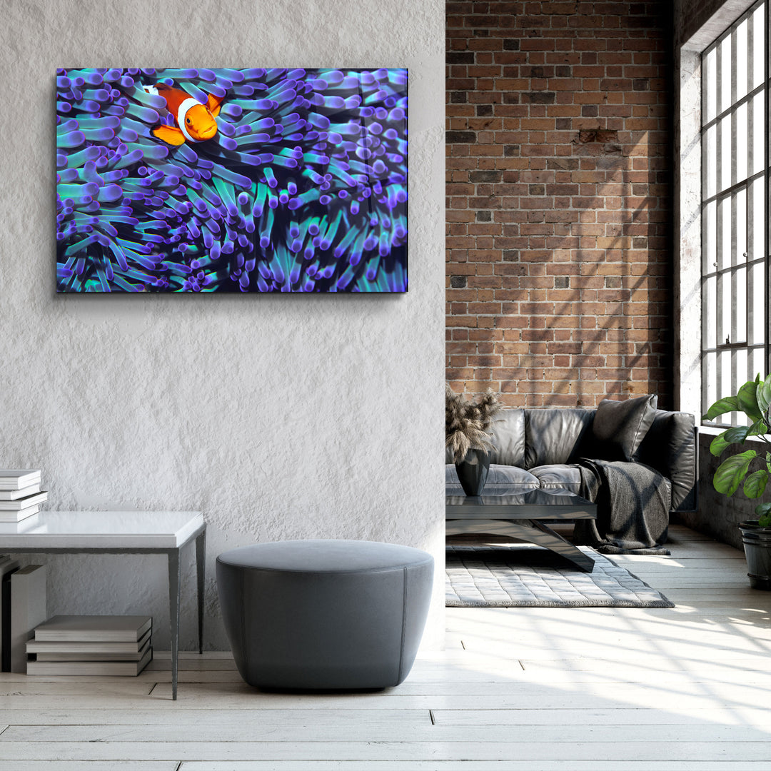 ・"Clownfish"・Glass Wall Art