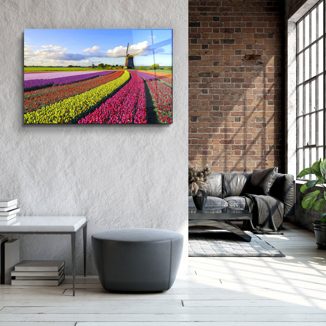 ・"Tulips Of Amsterdam"・Glass Wall Art | Artdesigna Glass Printing Wall Arts.