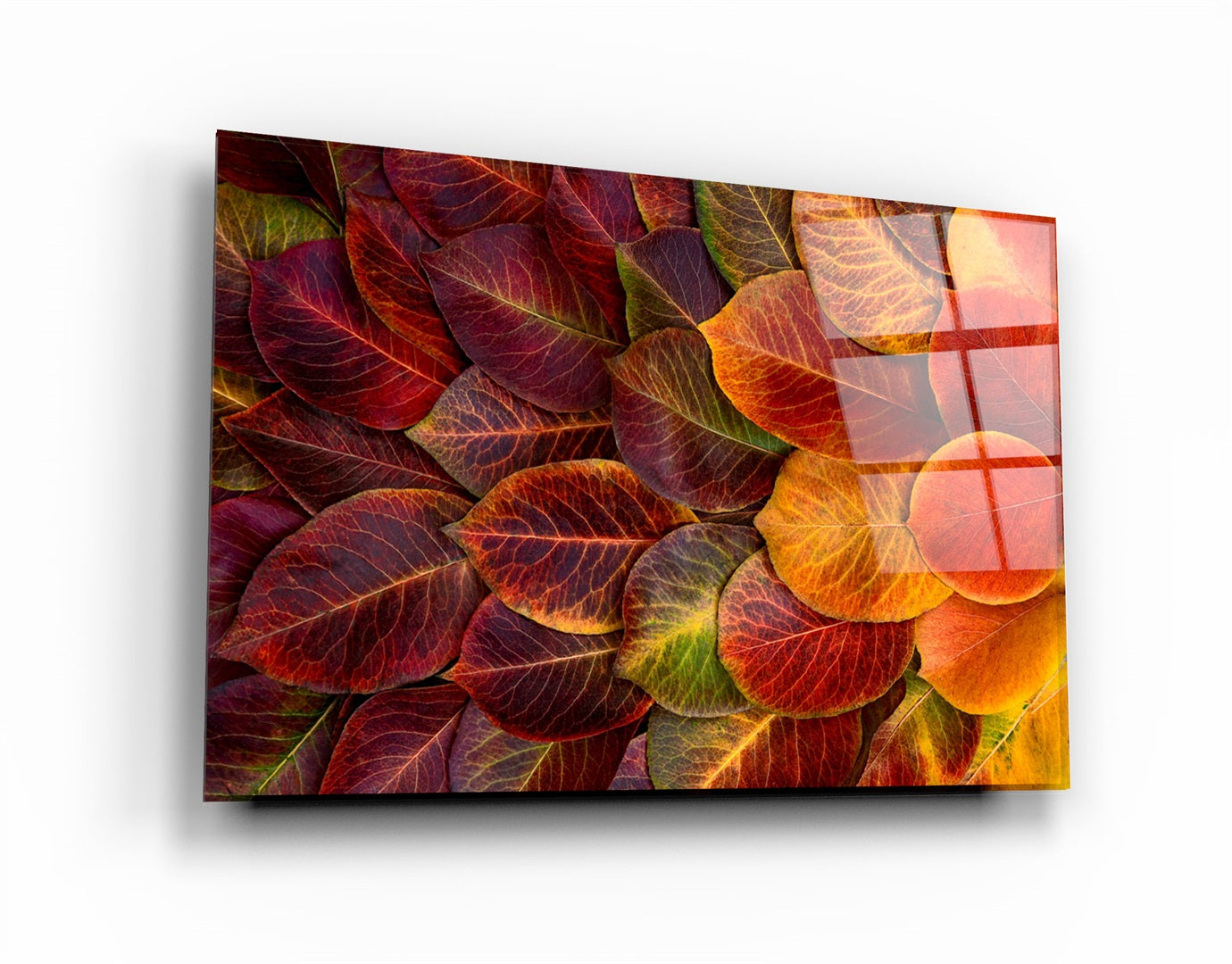 ・"Leaves"・Glass Wall Art | Artdesigna Glass Printing Wall Arts.