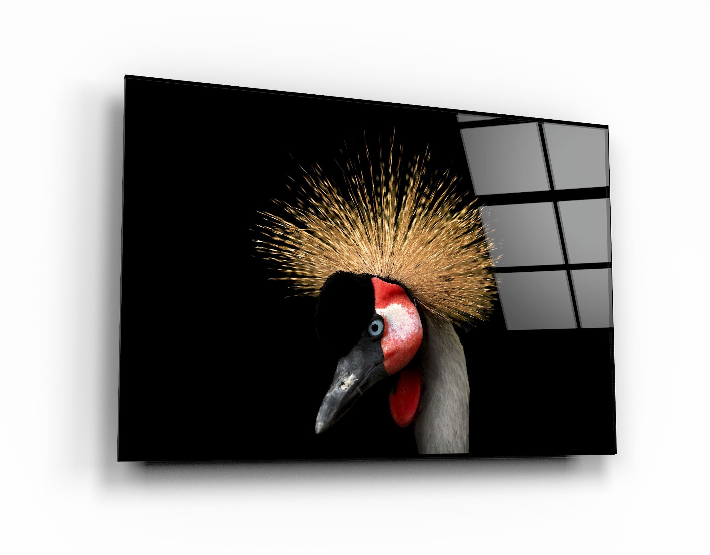 ・"Crowned Crane"・Glass Wall Art | Artdesigna Glass Printing Wall Arts.