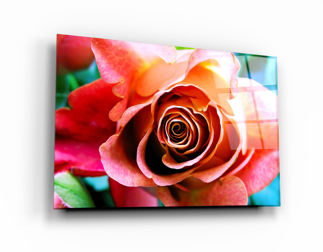 ・"Floribunda Rose"・Glass Wall Art | Artdesigna Glass Printing Wall Arts.