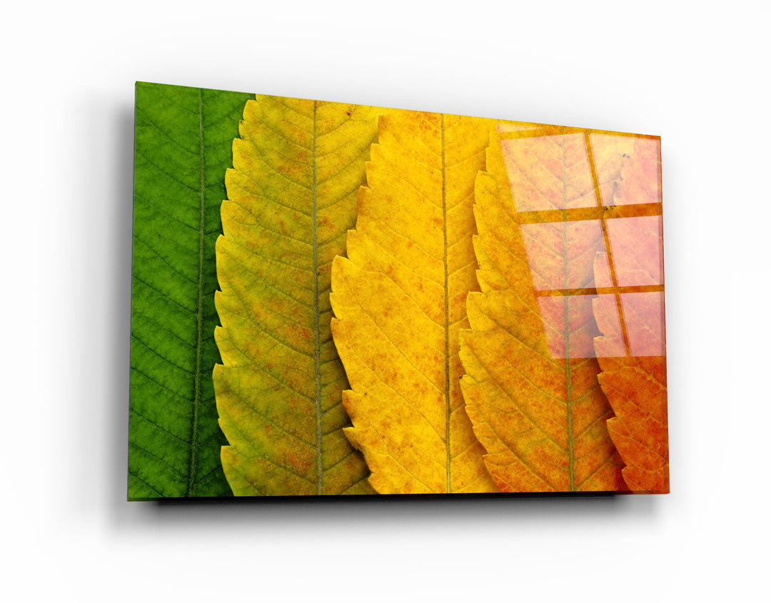 ・"Depth Of Focus"・Glass Wall Art | Artdesigna Glass Printing Wall Arts.