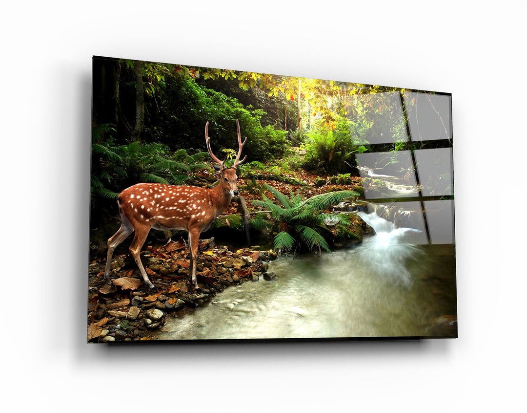 ・"A Beauty In Nature"・Glass Wall Art | Artdesigna Glass Printing Wall Arts.