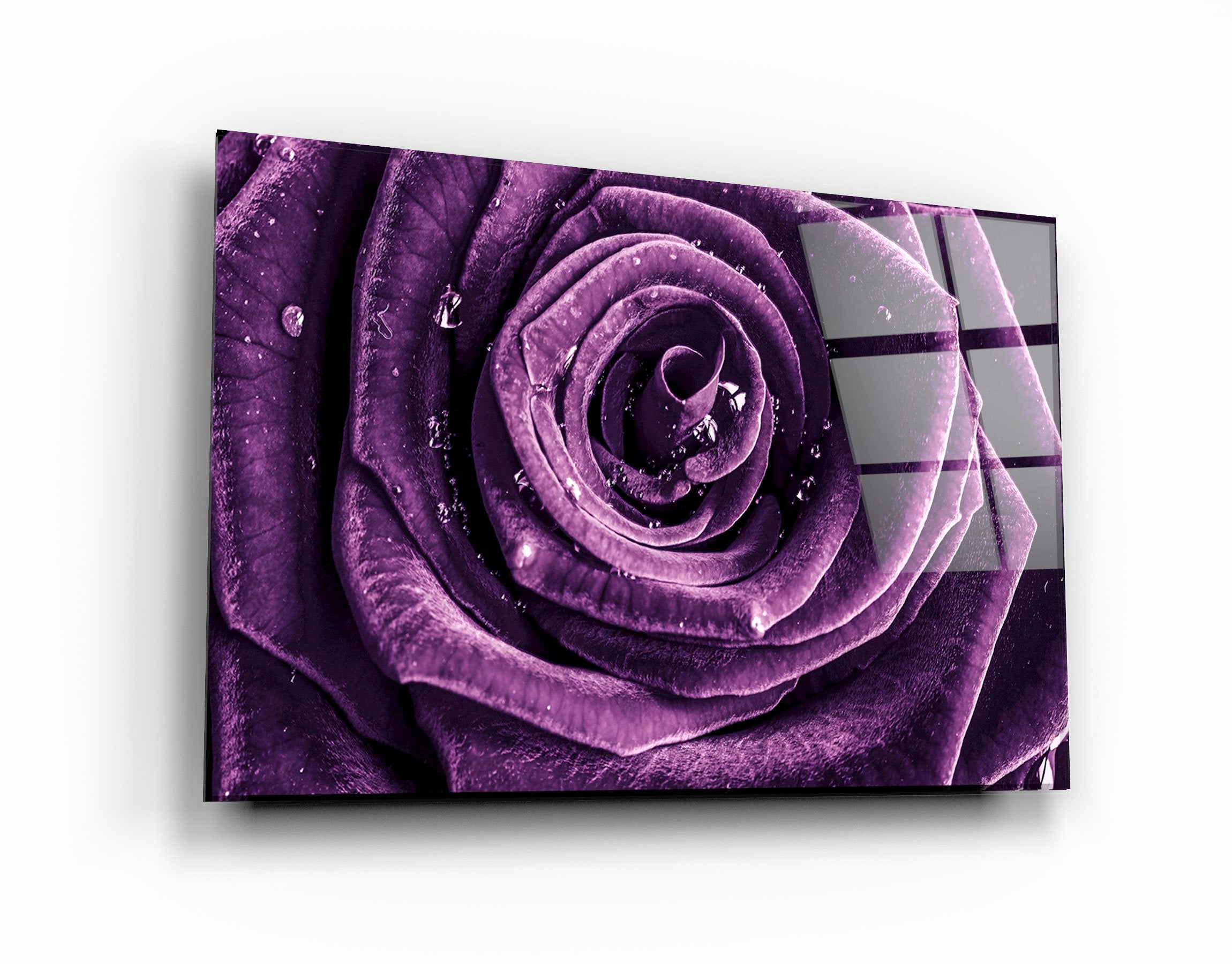 ・"Purple Rose V2"・Glass Wall Art | Artdesigna Glass Printing Wall Arts.