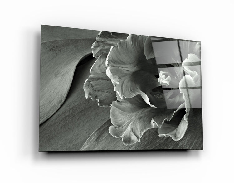 ・"White&Gray Flower"・Glass Wall Art | Artdesigna Glass Printing Wall Arts.