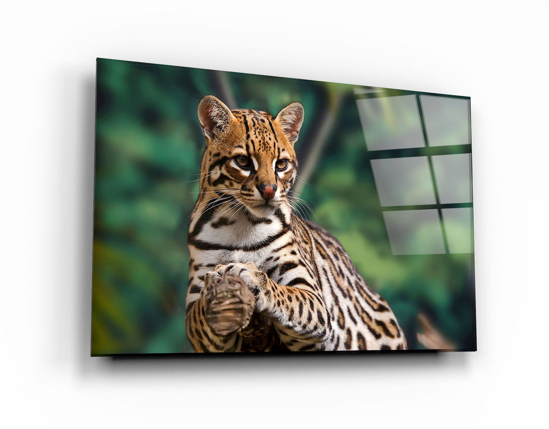 ・"Just Chillin"・Glass Wall Art | Artdesigna Glass Printing Wall Arts.