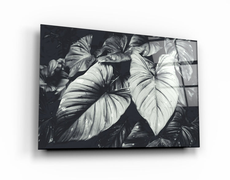 ・"Elephant's Ears"・Glass Wall Art | Artdesigna Glass Printing Wall Arts.