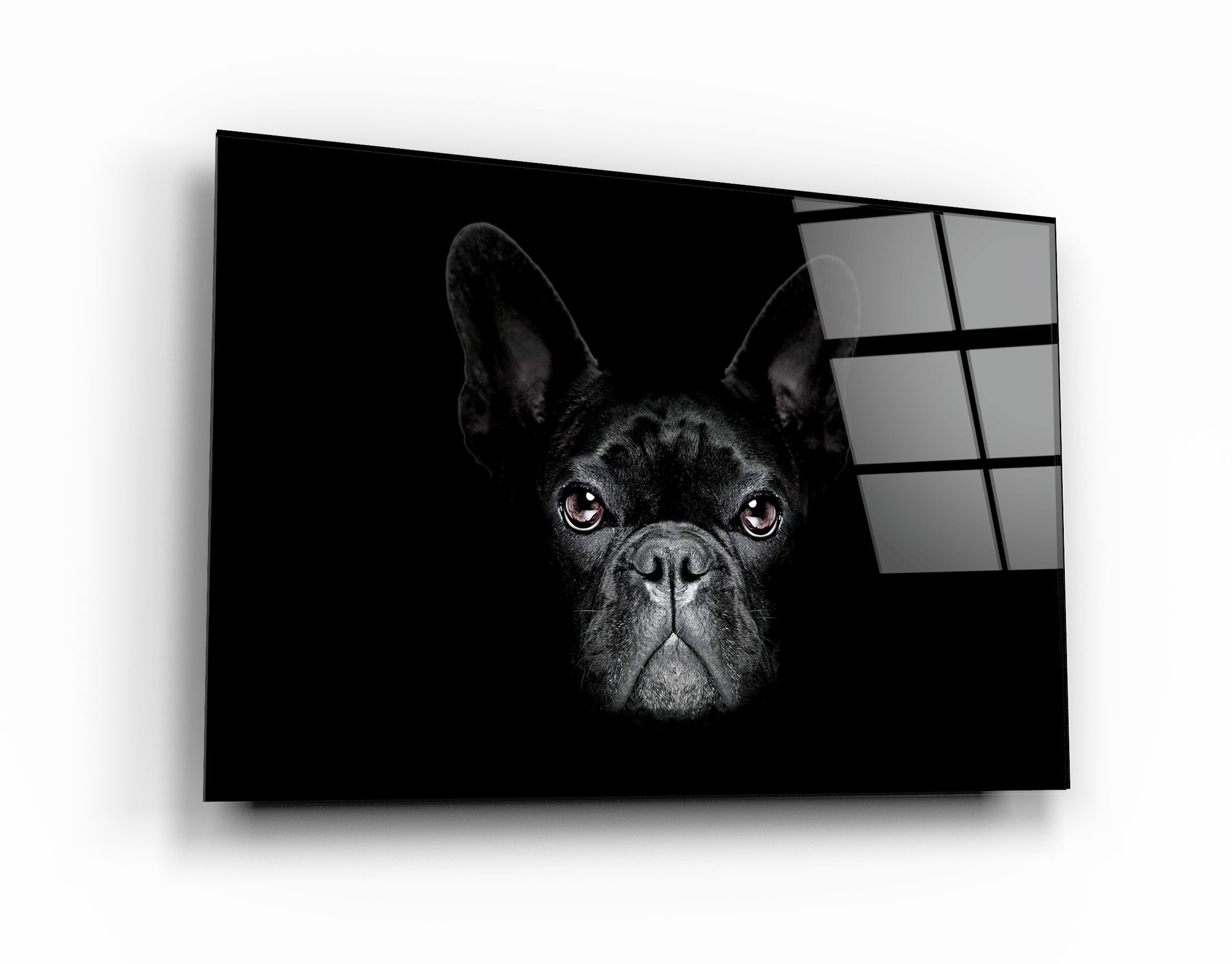 ・"The Pug"・Glass Wall Art | Artdesigna Glass Printing Wall Arts.