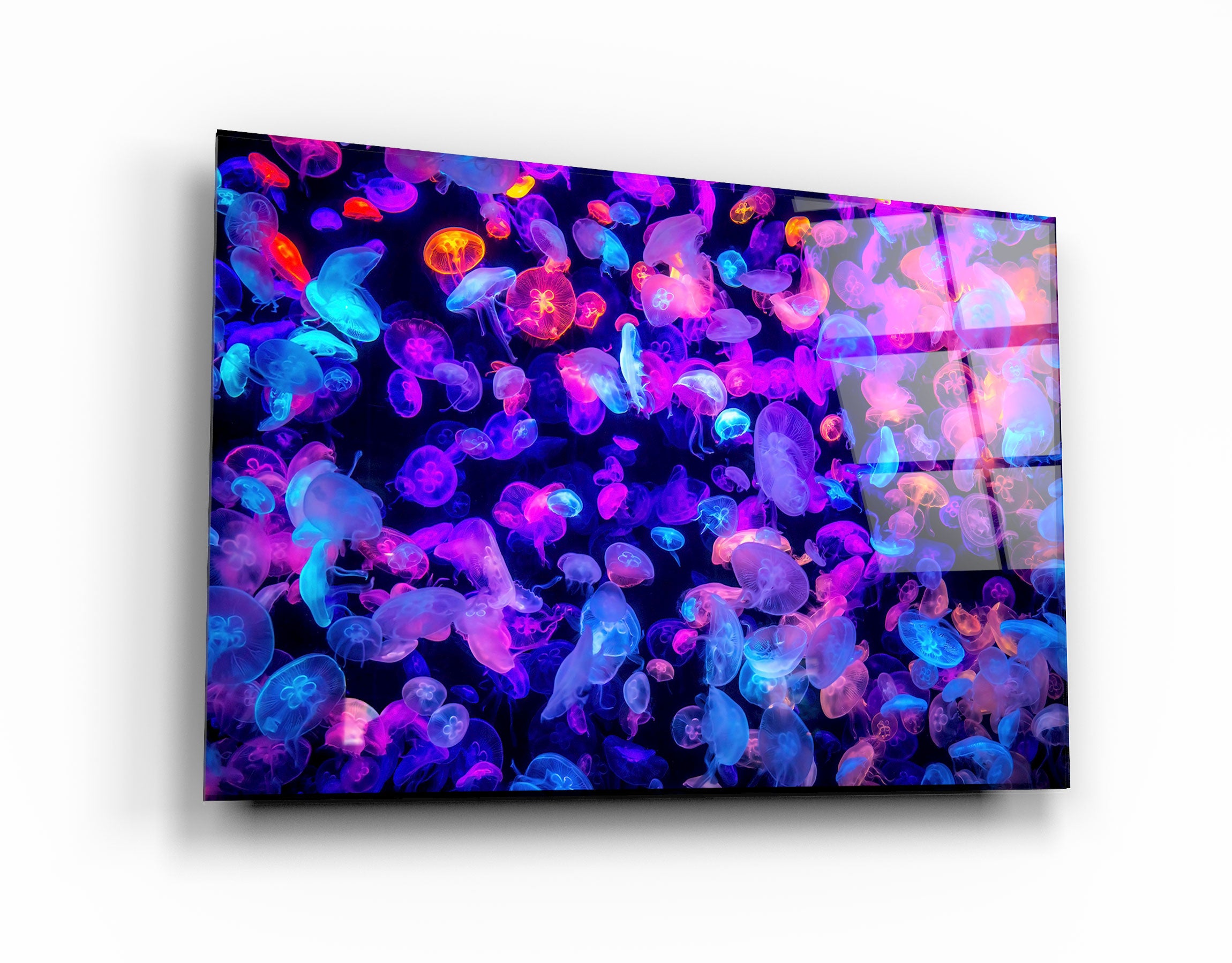 ・"The Colorful Jellyfishes"・Glass Wall Art | Artdesigna Glass Printing Wall Arts.