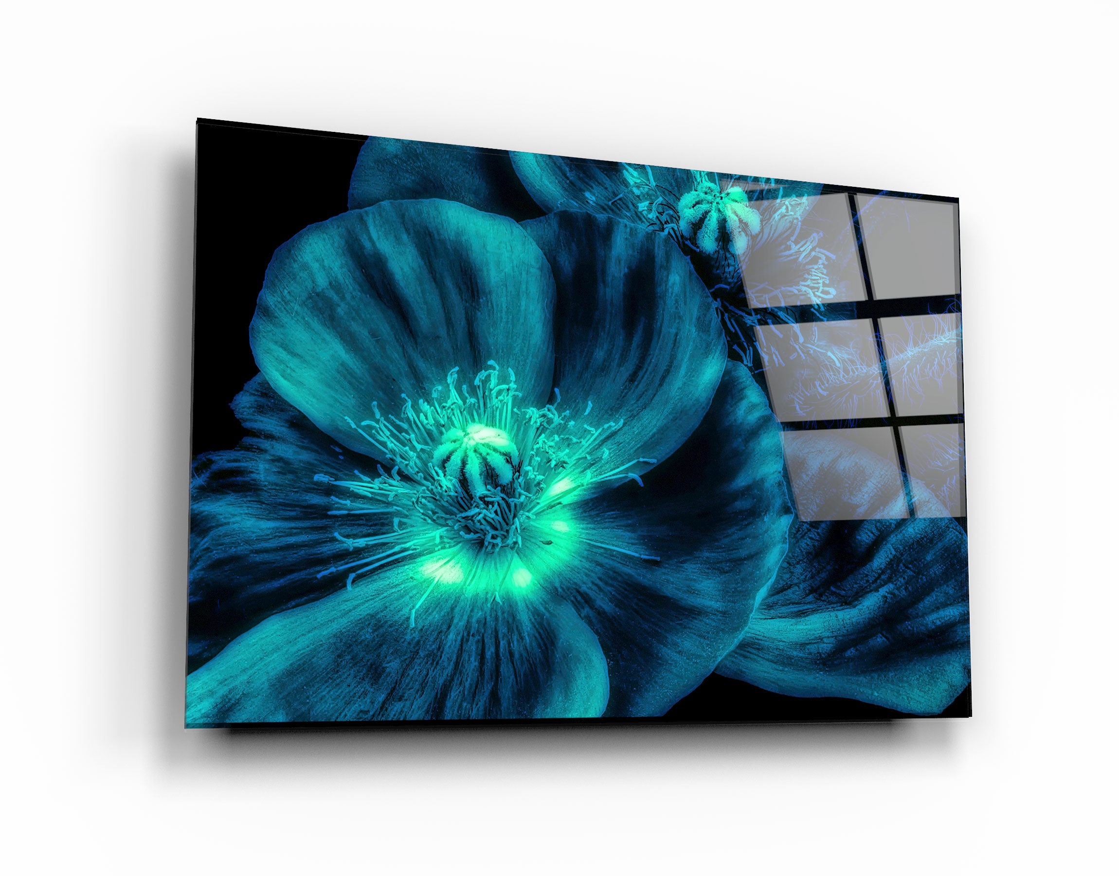 ・"Morning Glory"・Glass Wall Art | Artdesigna Glass Printing Wall Arts.