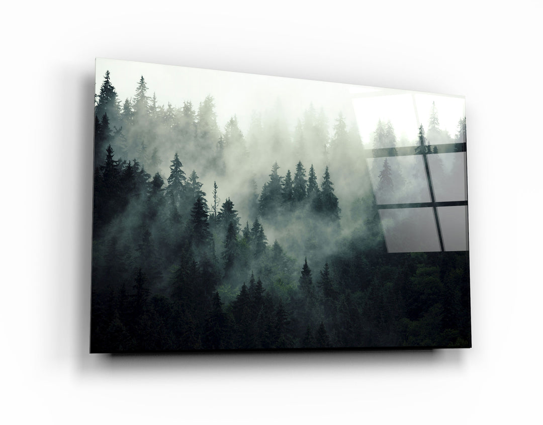 ・"Black Forest"・Glass Wall Art | Artdesigna Glass Printing Wall Arts.