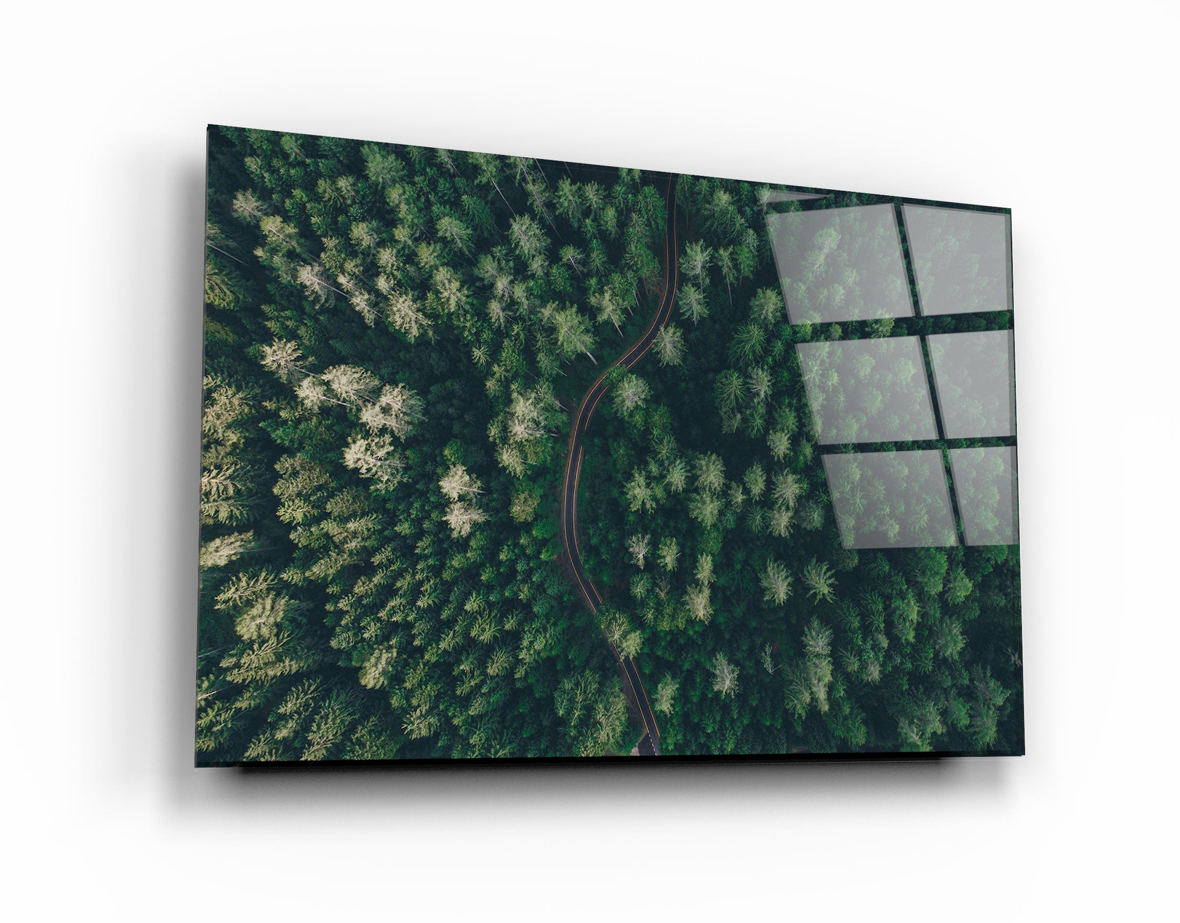 ・"Divided Forest"・Glass Wall Art | Artdesigna Glass Printing Wall Arts.