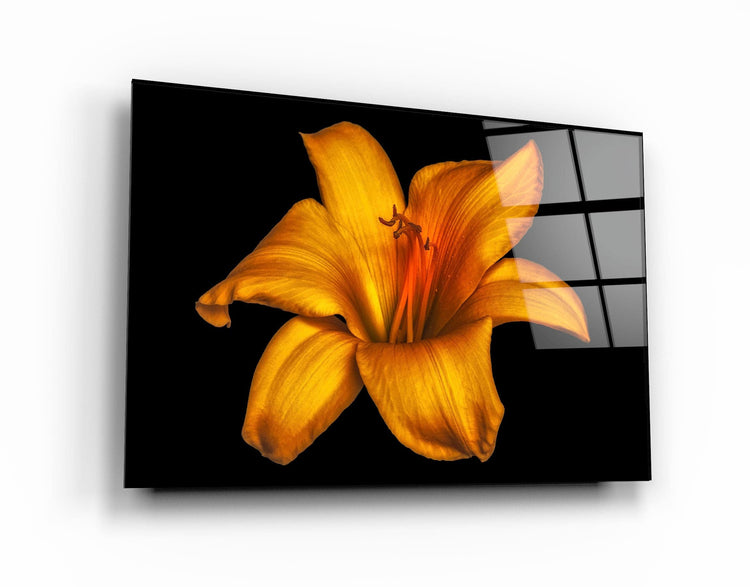 ・"Orange Lily"・Glass Wall Art | Artdesigna Glass Printing Wall Arts.