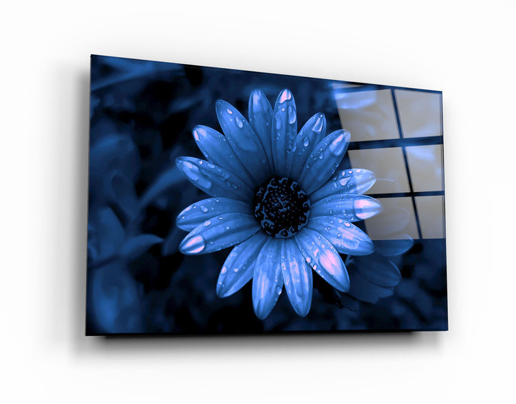 ・"Blue Daisy"・Glass Wall Art | Artdesigna Glass Printing Wall Arts.