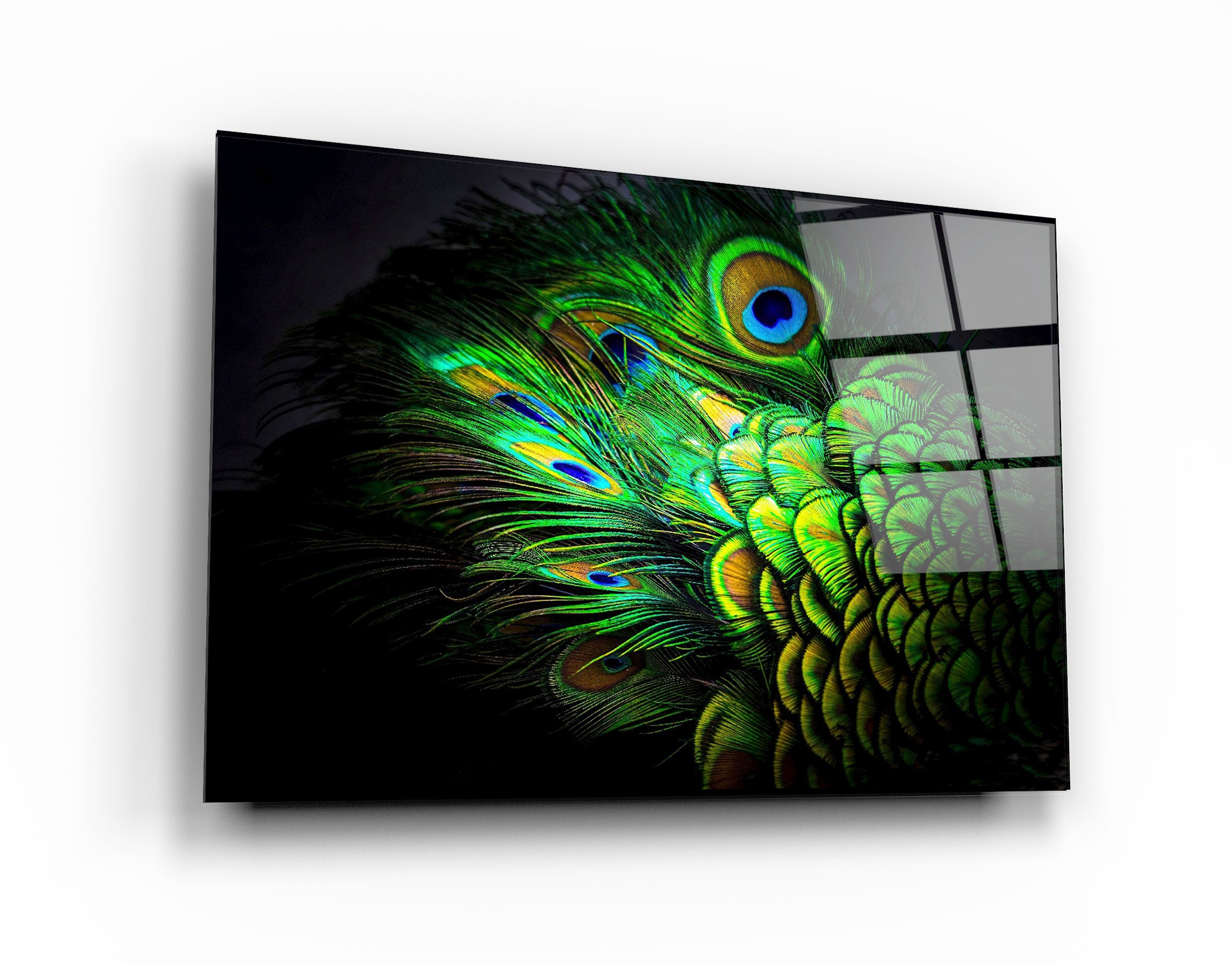 ・"Peacock Feather"・Glass Wall Art | Artdesigna Glass Printing Wall Arts.