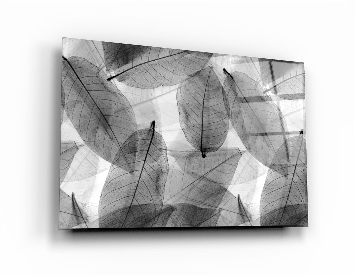 ・"Black - White Leaves"・Glass Wall Art | Artdesigna Glass Printing Wall Arts.