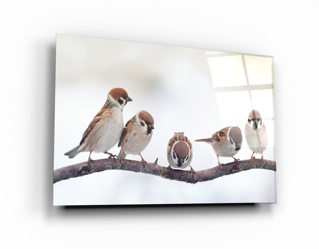 ・"Birds"・Glass Wall Art | Artdesigna Glass Printing Wall Arts.