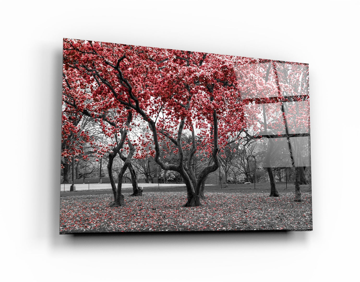 ・"Red Tree 2"・Glass Wall Art | Artdesigna Glass Printing Wall Arts.