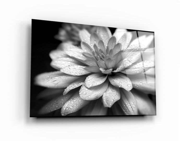 ・"Flower"・Glass Wall Art | Artdesigna Glass Printing Wall Arts.