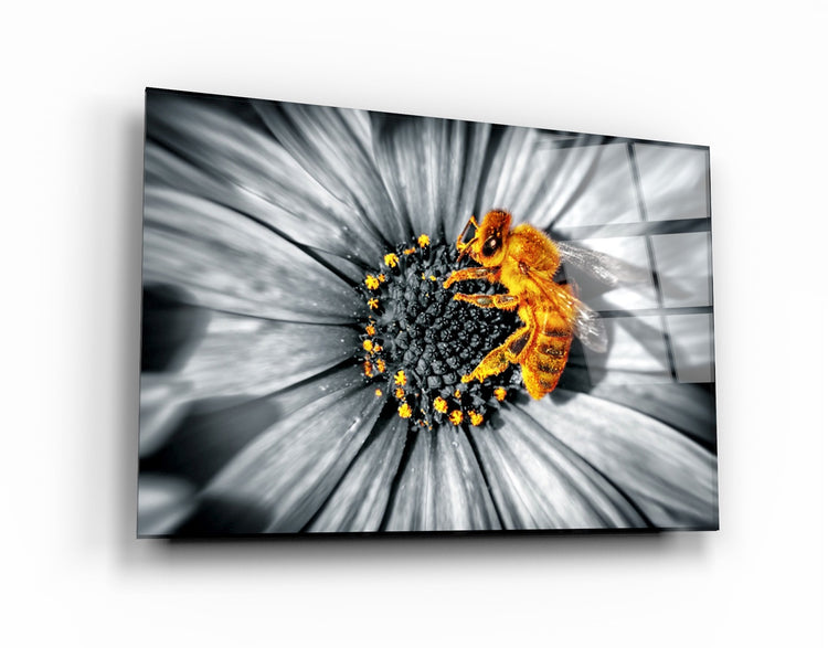 ・"Honey Bee"・Glass Wall Art | Artdesigna Glass Printing Wall Arts.